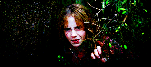 Hermione-Granger-GIFs-hermione-granger-23647297-500-224