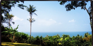 Michelle Rodriguez nos regala un momento zen