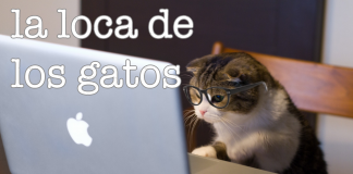 La loca de los gatos: Clones son amores