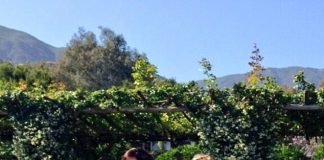 Melissa Etheridge se casa con Linda Wallem