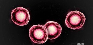 ‘Orphan Black’ nos regala un teaser de la tercera temporada