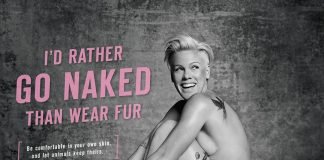 P!nk se desnuda para ‘Peta’