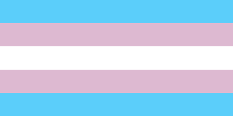 bandera-trans