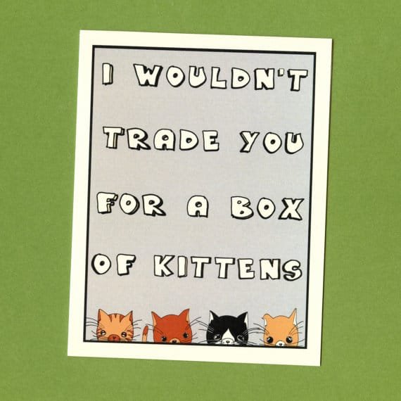 i-wouldnt-trade-you-for-a-box-of-kittens