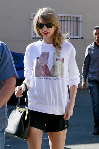 Taylor Swift Great Gatsby Cat Sweater, Hay una lesbiana en mi sopa