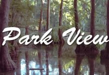 ‘Park view’ explora los hechos del crimen lesbófobo de Wilmington