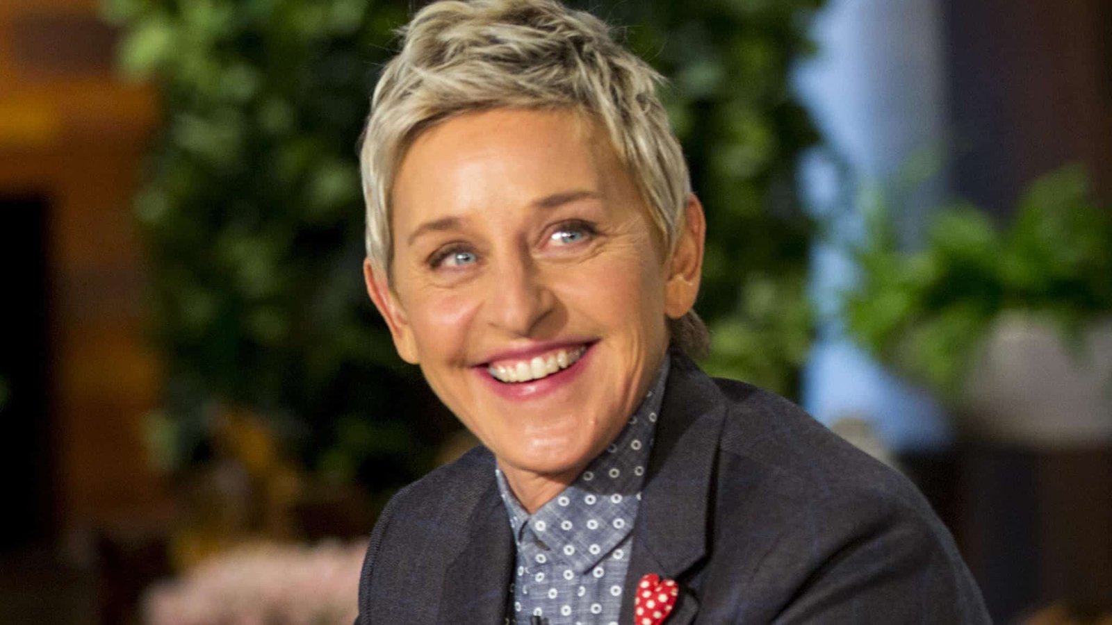 Ellen Degeneres, Hay una lesbiana en mi sopa