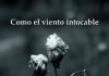 ‘Como el viento intocable’, poesía africana lésbica con mucho que decir