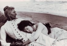 Los matrimonios bostonianos, Henry James y ‘La tierra de los abetos puntiagudos’