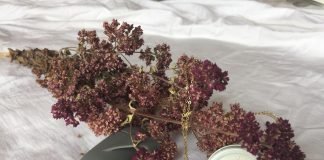 Horoscope: dime cuál es tu signo y te llevaré al orgasmo