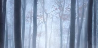 ‘Frozen 2’ tiene nuevo tráiler Póster oficial de Frozen 2