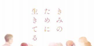 Penúltima Opinión sobre OshiBudo