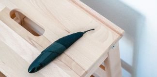 Rotación elíptica en tu clítoris con Zumio E