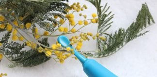 Zumio I no vibra, rota con precisión y suavidad